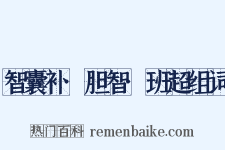 智囊补·胆智·班超组词是什么意思的图片